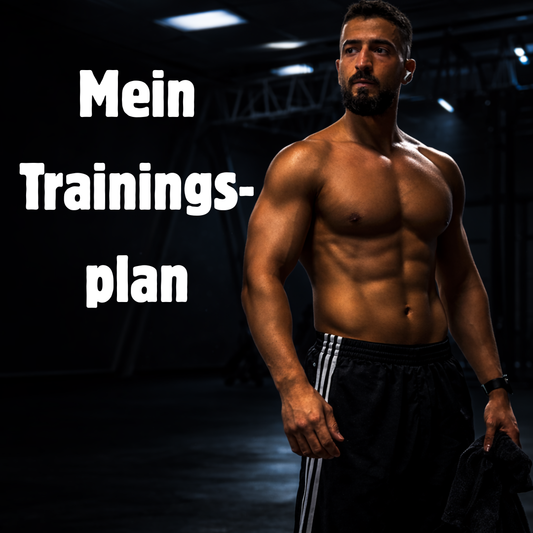 Mein Trainingsplan